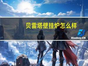 贝雷塔壁挂炉怎么样（贝雷塔壁挂炉）