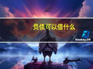 负债可以借什么