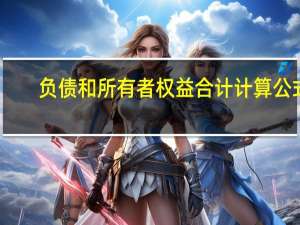 负债和所有者权益合计计算公式