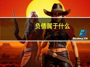 负债属于什么