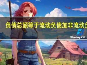 负债总额等于流动负债加非流动负债（负债总额）