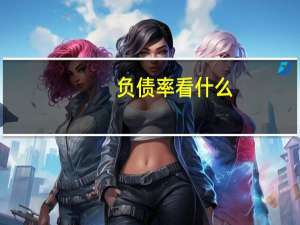 负债率看什么