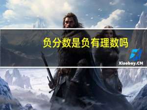 负分数是负有理数吗