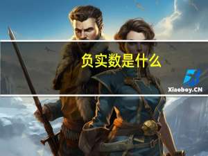 负实数是什么