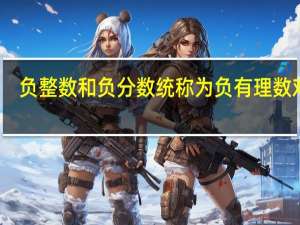 负整数和负分数统称为负有理数对吗
