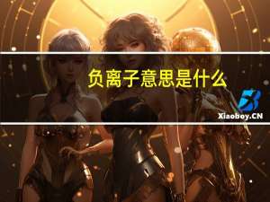 负离子意思是什么