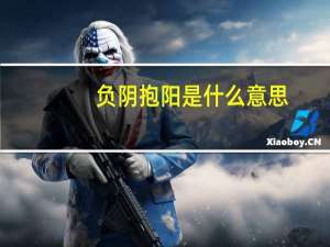 负阴抱阳是什么意思