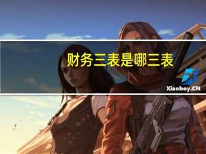 财务三表是哪三表