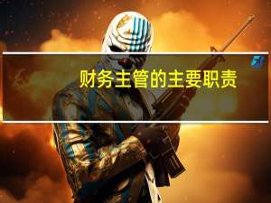 财务主管的主要职责