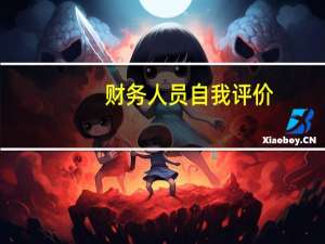 财务人员自我评价