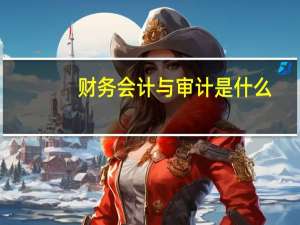 财务会计与审计是什么