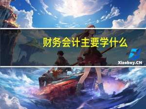 财务会计主要学什么