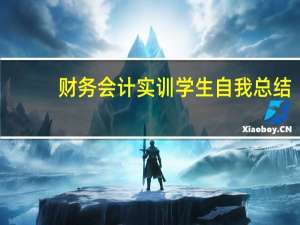 财务会计实训学生自我总结