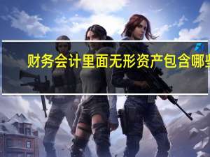 财务会计里面无形资产包含哪些