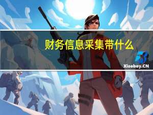 财务信息采集带什么