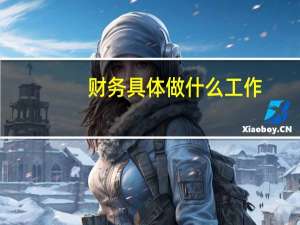 财务具体做什么工作