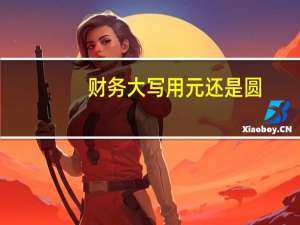 财务大写用元还是圆