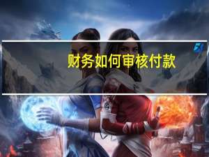 财务如何审核付款