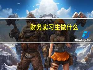 财务实习生做什么