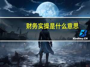 财务实操是什么意思