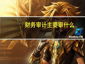 财务审计主要审什么