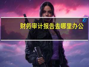 财务审计报告去哪里办公