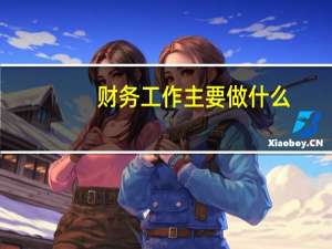 财务工作主要做什么