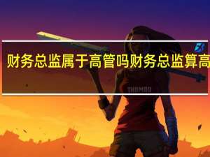 财务总监属于高管吗财务总监算高管吗
