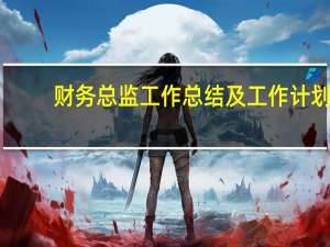 财务总监工作总结及工作计划（财务总监工作重点）