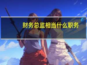 财务总监相当什么职务