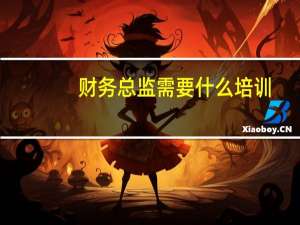 财务总监需要什么培训