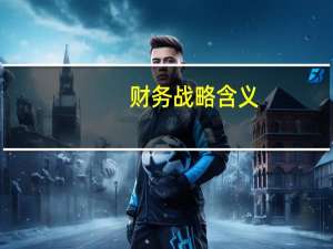 财务战略含义
