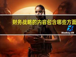 财务战略的内容包含哪些方面（财务战略的内容）