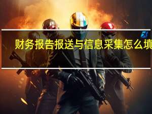 财务报告报送与信息采集怎么填写