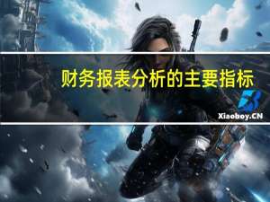 财务报表分析的主要指标