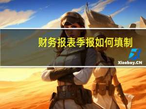 财务报表季报如何填制