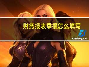 财务报表季报怎么填写
