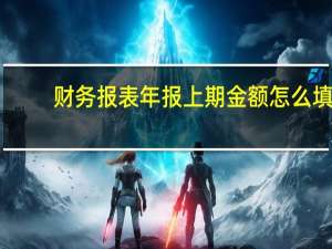财务报表年报上期金额怎么填
