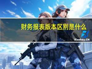 财务报表版本区别是什么