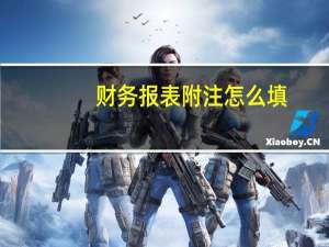 财务报表附注怎么填