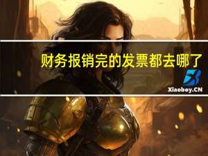 财务报销完的发票都去哪了