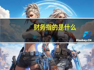 财务指的是什么