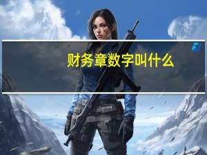 财务章数字叫什么