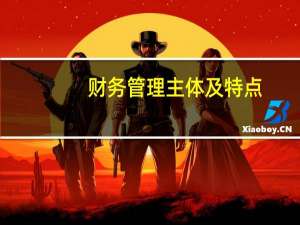 财务管理主体及特点
