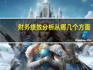 财务绩效分析从哪几个方面