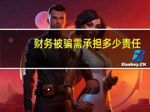 财务被骗需承担多少责任（财务bp）