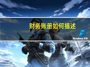 财务账册如何描述