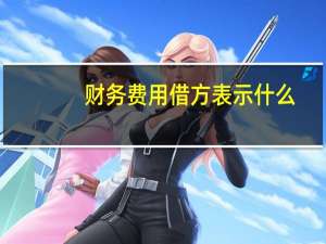 财务费用借方表示什么