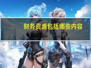 财务资源包括哪些内容