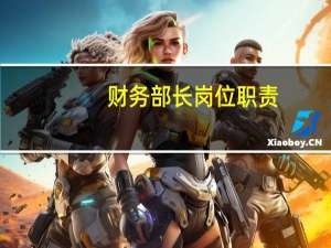财务部长岗位职责
